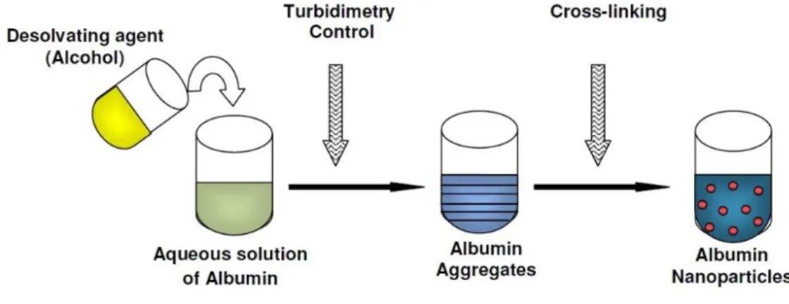 Figura 5: Metodo di preparazione per desolvatazione di nanoparticelle di albumina. 41 