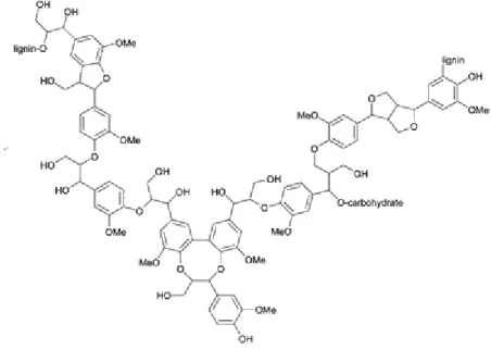 Figure 1.5 Example of the complex lignin chemical composition. The major constituents of lignin are  aromatic alcohols