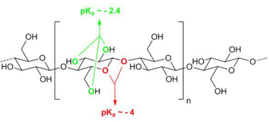 Figure 1.7 Estimated pKa of the hydroxyl oxygens and protonated acetalic oxygens in the cellulose chain  polymer.