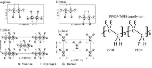 Figure 1.8: Representation of PVDF molecules; on the left it is shown the structure of principal crystal phases of PVDF, on the right the changing in structural formula of copolymer PVDF-TrFE [30].