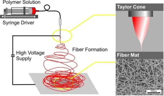 Figure 2.2: Sketch of the electrospinning process [48]).