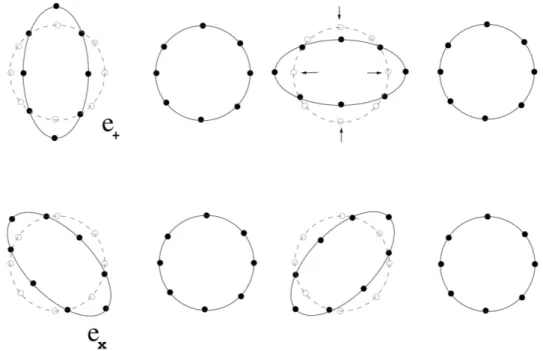 Figura 5.2: Schema delle deformazioni prodotte su un anello di particelle da un’onda polarizzata nel modo + e nel modo ×, rispettivamente nella prma e seconda riga (piano x-y).