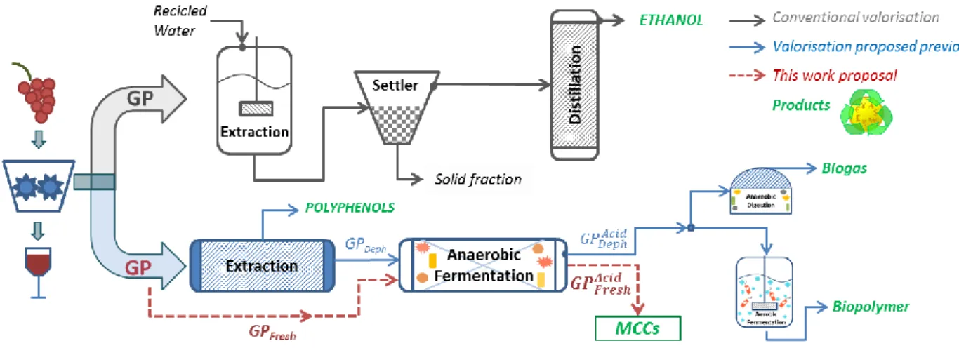 Figura 6  Da uno schema di bioraffineria tradizionale per il recupero di etanolo da GP (in grigio)  a una strategia di valorizzazione della vinaccia (a colori)