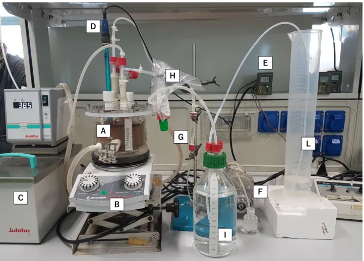 Figura 8  Set-up della prova in batch, costituita da A) fermentatore; B) agitatore magnetico; C)  bagno termico; D) elettrodo per la misura del pH; E) controller del pH; F) pompa peristaltica e  bottiglia contenente NaOH; G) valvola di non ritorno; H) valv