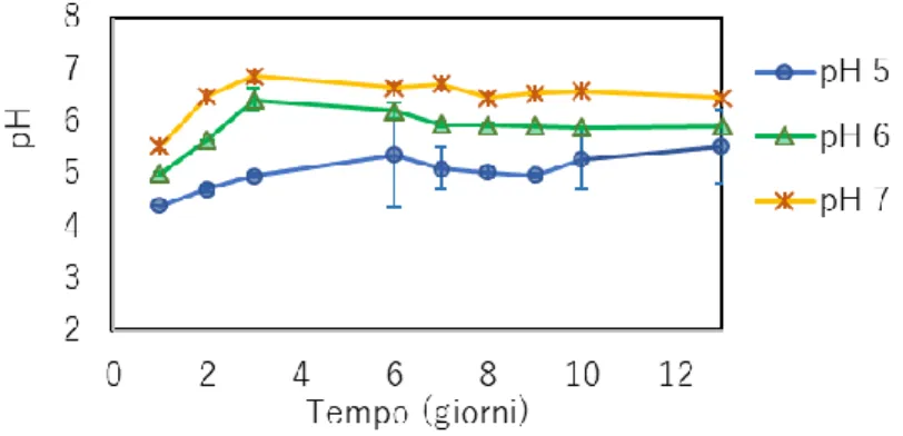 Figura 11  Andamento del pH misurato nelle tre condizioni valutate a 37ºC. 