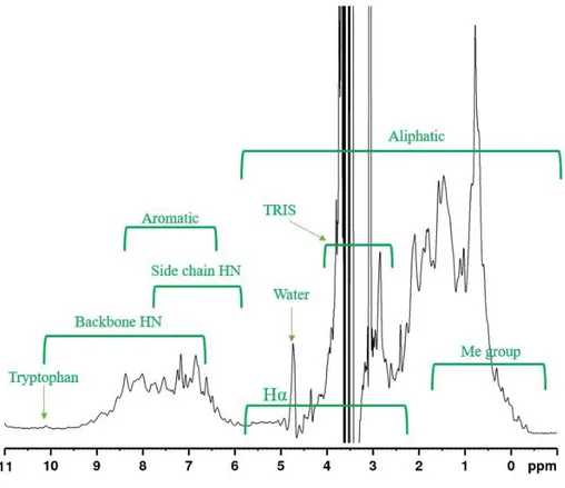 FIG  6:  1D  H-NMR  spectrum  of  HoLaMa  in  Tris  Buffer  with  5%  v/v  D 2 O  (standard),  at  600  MHz