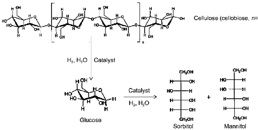 Figura  2.11  -  Rappresentazione  della  conversione  catalitica  di  cellulosa  e  cellobiosio  a  sorbiotolo  e  mannitolo