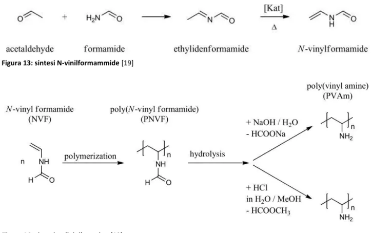 Figura 14: sintesi polivinilammina [19]
