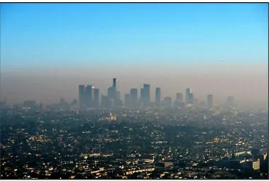 Figura 3: Fotografia  dello smog fotochimi co in una grande città  metropolitana; (http://www.ecologiae.com/nox/29693/).
