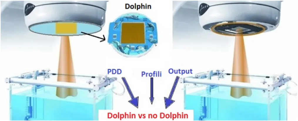 Figura 3.1: Schema dei set-up di acquisizione dei dati con e senza Dolphin.