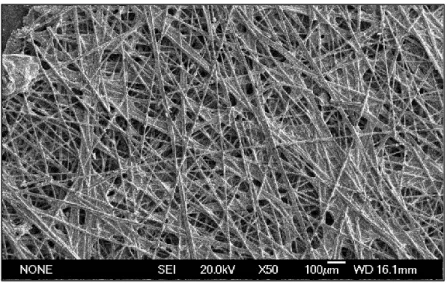 Figure 1.4: Image of Carbon Paper acquired at SEM 
