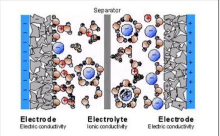 Figure 1.8:  Elemental schematisation of a supercapacitor that emphasizes the  mobility of the electrolytic  ions, surrounded by solvent, in this case water