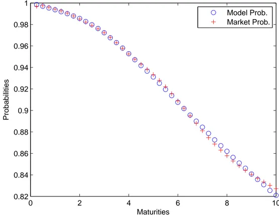 Figura 5.1: Survival probabilities dopo la calibrazione su 40 valori di mercato