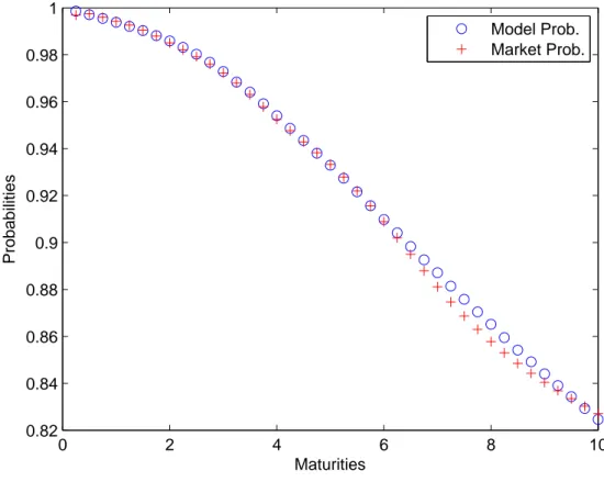 Figura 5.3: Survival probabilities valutate su 40 valori, dopo la calibrazione su 10 valori di mercato