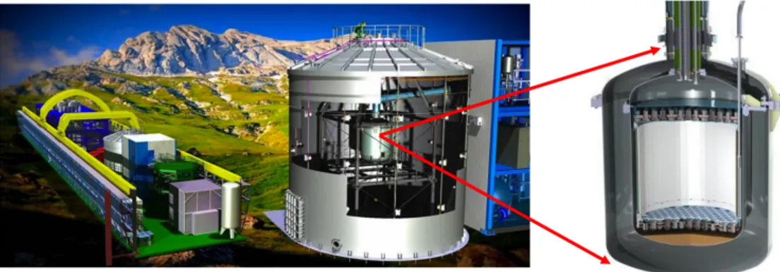 Figure 2.7: Picture of the XENON1T TPC and cryostat inside the Muon Veto System.