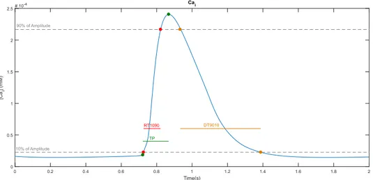 Figure II.4: Time domain biomarker of a Ca 2+ transient. The Maximum Rise Slope is maximum value of the slope between the two green dots