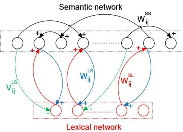 Fig.  2.2:  schema  del  modello  semplificato  unidimensionale.  La  rete  semantica  (primo  strato):  ogni  unità  semantica  è  connessa  alle  altre  dello  stesso  strato  attraverso  sinapsi  eccitatorie