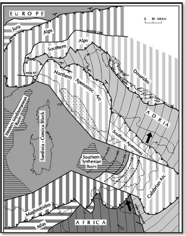 Figura 5. I limiti delle placche, la microplacca Adria e la sua direzione di movimento  (http://emidius.mi.ingv) 