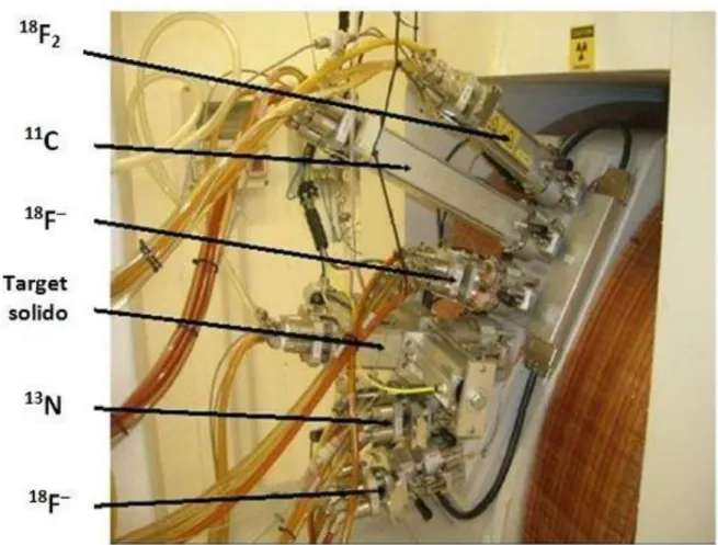Figura 2.6 Target installati sul ciclotrone PETtrace e relativi radionuclidi prodotti 