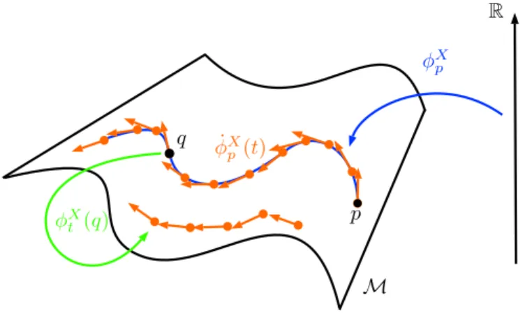 Figura 2.4: Flusso di un campo vettoriale definito su una varietà 2-dimensionale M