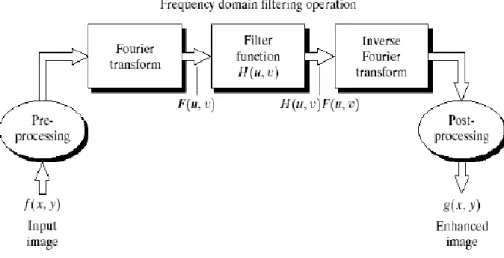 Figura 6: Schema del filtraggio di un’immagine nel dominio  della frequenza. (fonte[d])