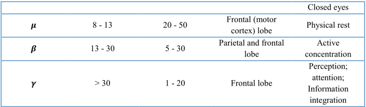 Figure 3 Example of EEG equipment (from the company Electrical Geodesics) 