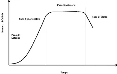 Figura 3: curva di crescita. (Fonte http://slideplayer.it/slide/3225732/) 