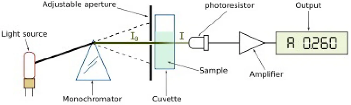Figura 1.8: Schema di funzionamento dello spettrofotometro