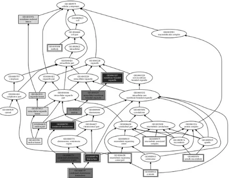 Figure 1: Representation of a DAG. Got from this work[1] An annotation matrix A(g, t) is a binary matrix whose i-th row A(g i , t) is the annotation profile of the gene g i to the terms t ∈ T ; thus, a binary gene-term annotation matrix A(g, t) represents 