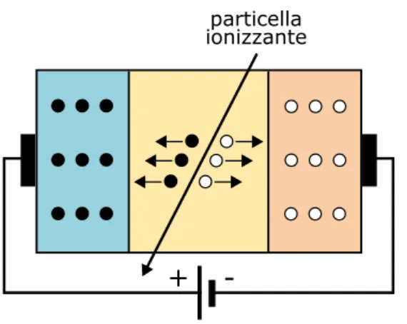 Figura 1.8: creazione di coppie elettrone-lacuna per ionizzazione in una giunzione polarizzata inversamente.