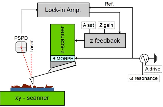Figure 3.3: nc-AFM system.