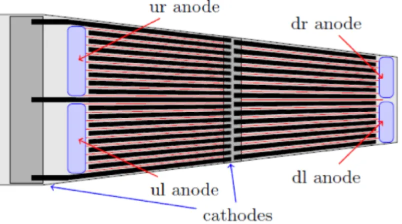 Figure 2.3: Microstrip geometry and division in the four electrically separated regions of signal collection.