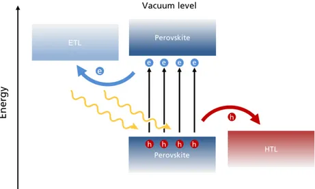 Figure 2.4: Schematic band diagram to illustrating the charge production and extraction by ETL and HTL in a Perovskite Solar Cell (picture not in scale).