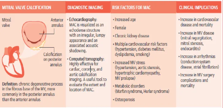 Figura 2 : Diagnosi, rischi e implicazioni cliniche della MAC. [3] 