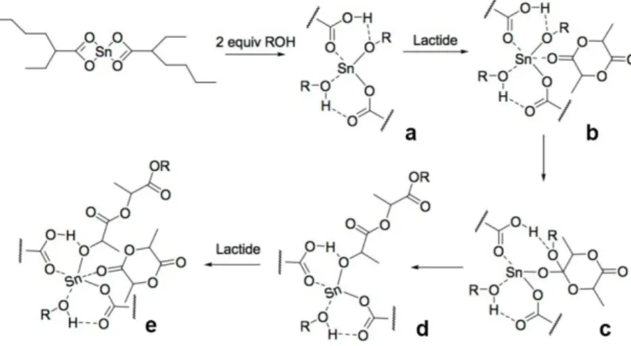Figure 1.7: Coordination-insertion mechanism of Sn(Oct) 2  in catalyzed polymerization of             L-lactide