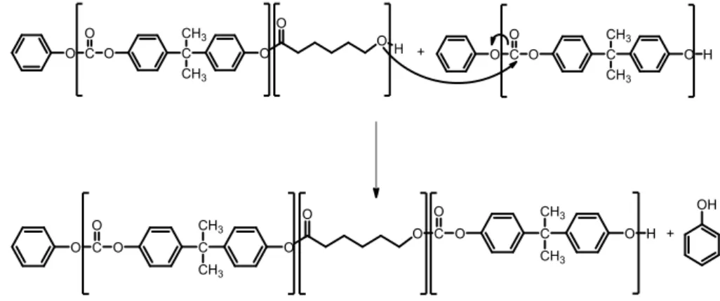 Figure 4.1: Mechanism for the Sn(Oct) 2  –Catalyzed ROP of ɛ-caprolactone. 
