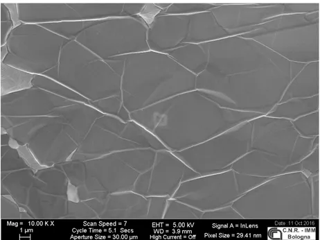 Figura 3.6 - Immagine SEM della schiuma SGF16032 As-synth con ingrandimento 10,000x.