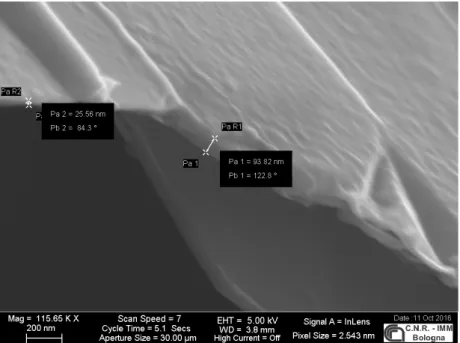 Figura 3.9 - Immagine SEM della schiuma SGF16032 Ni-etched con ingrandimento 115,000x.