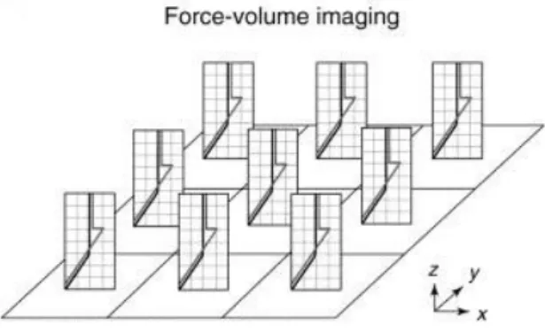 Figura 9: Immagine che dimostra la scelta del nome della  modalità &#34;force-volume&#34;, si realizzano curve di forza  all'interno di un volume.
