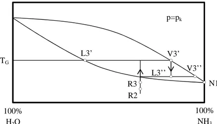 Figura 1.7: Diagramma di solubilità acqua-ammoniaca,                                                                G