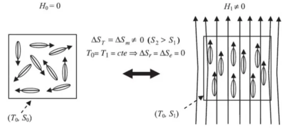 Figura 2.3: Magnetic Spin System in condizioni isoterme, prima e dopo aver applicato il campo  magnetico esterno, J