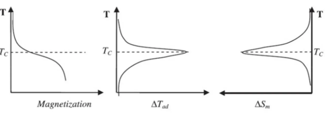 Figura 2.5: Dipendenza della magnetizzazione, ∆T ad  e ∆S m  dalla temperatura per una fissata  variazione del campo magnetico ∆H