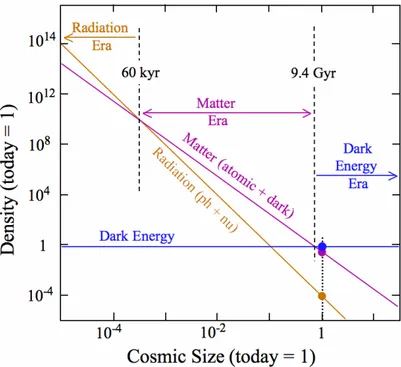 Figura 3.2: Il grafico mostra come cambia la densità della materia, della radiazione e dell’energia oscura in funzione delle dimensioni dell’universo