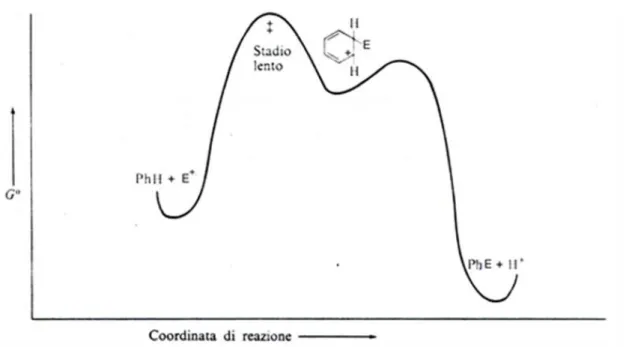 Figura  2. Andamento  energetico della reazione  di  sostituzione  elettrofila aromatica