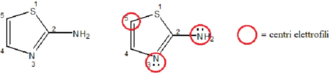 Figura  10. Forme  tautomeriche  del 2-amminotiazolo. 
