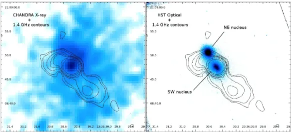 Figure 1.8: Overlay of Left: CHANDRA image of the core of IC5338 with the VLA 1.4 GHz contours (Gitti 2013); Right: HST image of the double core of IC5338 with the 1.4 GHz contours (Gitti 2013);