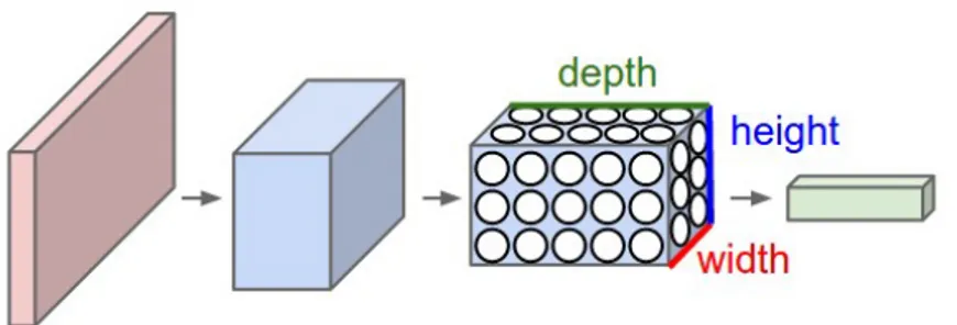 Figure 2.1: An schematic example of how neurons are arranged in three dimensions in a convolutional layer [6].