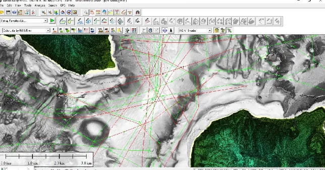 Fig. 2.2: Tracce dei profili sismici riposizionati all’interno del CSL. Sono visibili in verde i  profili non riposizionati, mentre in rosso gli stessi profili shiftati e riposizionati