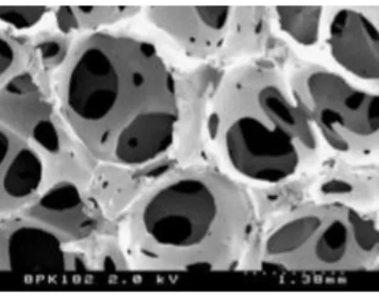 Figura 2. Esempio di scaffold poliuretanico poroso per la rigenerazione del tessuto osseo