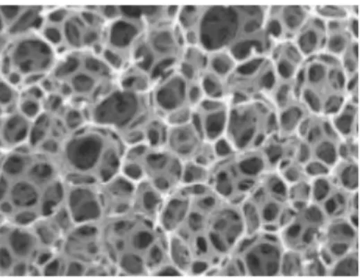 Figura 8. Espanso polimerico a celle aperte 